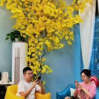 uploads/erp/collection/images/Home Garden/CongDing/XU0611399/img_b/XU0611399_img_b_1